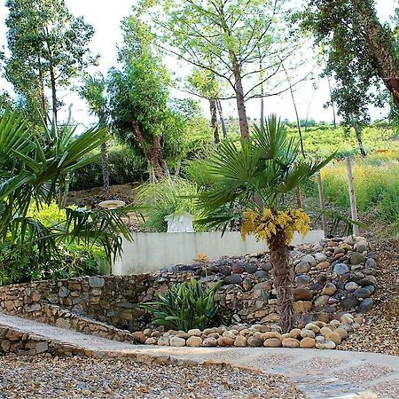 Oak Cottage Ferreira do Zêzere エクステリア 写真